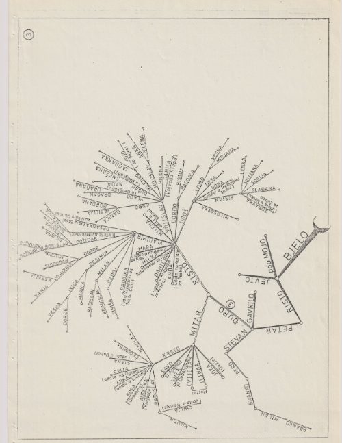 Stranica 9 originalnog dokumenta porodičnog stabla